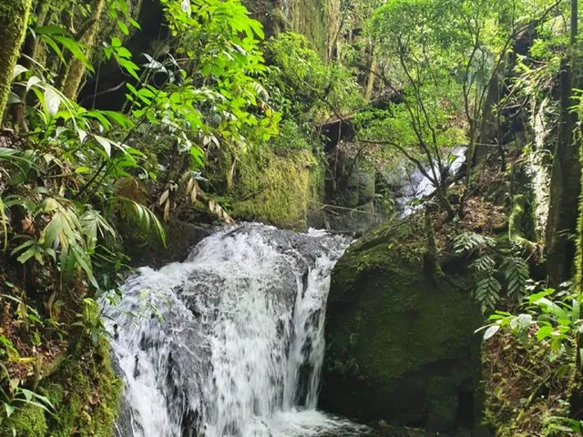 Imagem: CASA RURAL em BOCAINA DE MINAS - MG, Barra