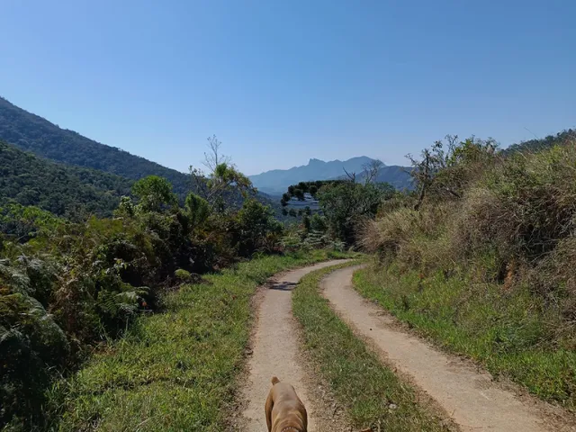 Imagem 12: CASA RESIDENCIAL em BOCAINA DE MINAS - MG, Barra das Antas