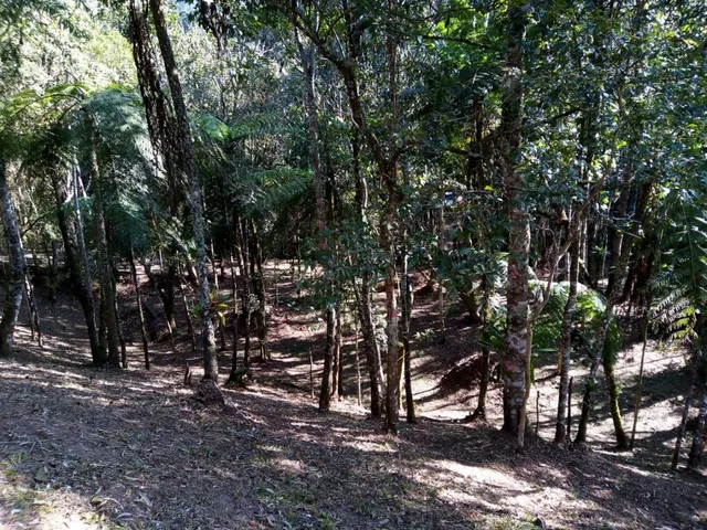 Imagem: TERRENO RESIDENCIAL em Bocaina de Minas