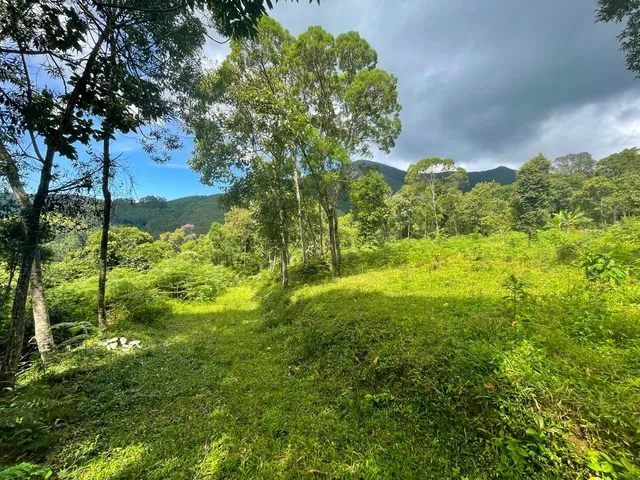 Imagem 11: TERRENO RURAL em Bocaina de Minas - MG, Mirantão