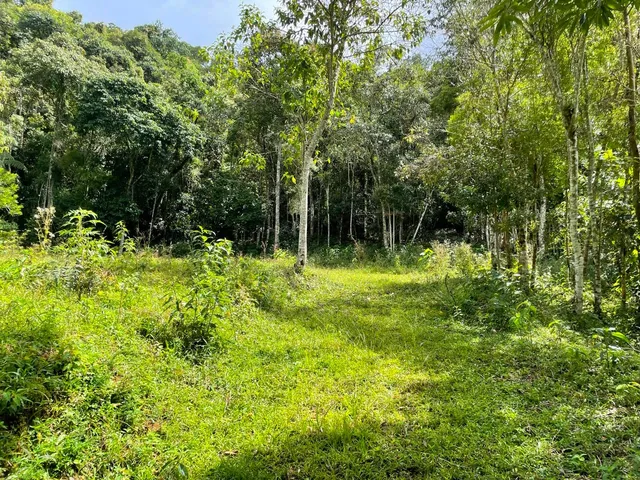 Imagem 9: TERRENO RURAL em Bocaina de Minas - MG, Mirantão