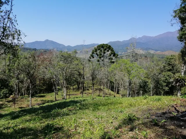 Imagem 7: TERRENO RURAL em Bocaina de Minas - MG, Santa Clara