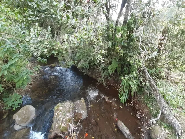Imagem 10: TERRENO RURAL em Bocaina de Minas - MG, Vale das Flores