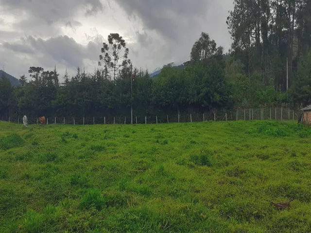 Imagem 3: TERRENO RURAL em Bocaina de Minas - MG, Vale das Flores