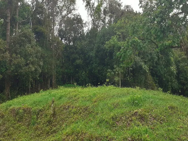 Imagem 9: TERRENO RURAL em Bocaina de Minas - MG, Vale das Flores