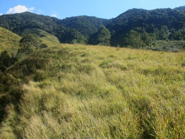 Imagem 3: TERRENO RURAL em Bocaina de Minas - MG, Vale da Prata