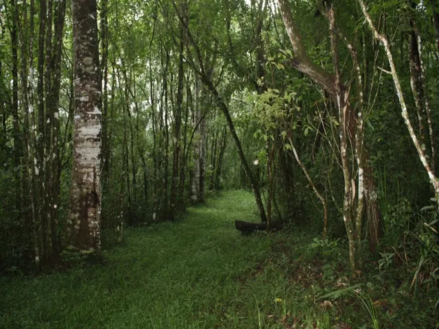 Imagem: TERRENO RURAL em Bocaina de Minas - MG