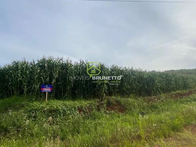 Imagem 3: LOTE DE ESQUINA RECANTO DOS PÁSSAROS