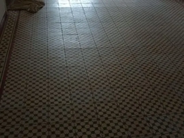 Imagem 16: Alugo Casa na Prata com 03 Quartos - Imperdível