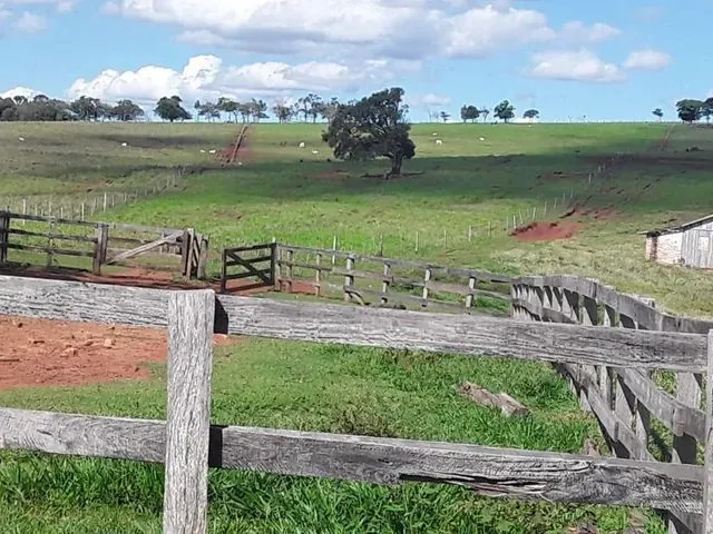Imagem: Fazenda À Venda, 1016400 M² por R$ 5.650.000,00