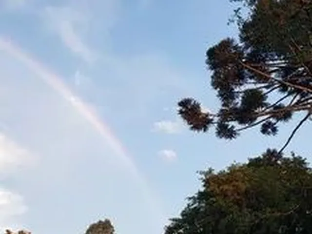 Imagem: Chácara Colônia Muricy Venda Ou Permuta