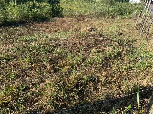 Imagem: Lote Porto Seguro Px a Ipatinga