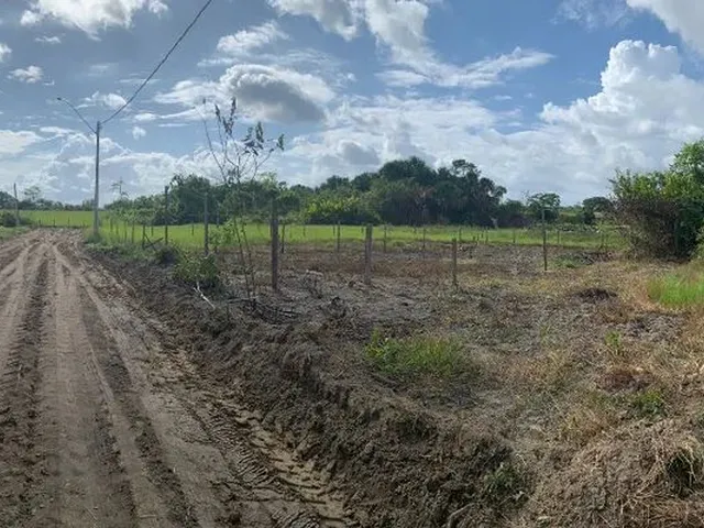 Imagem 5: Terrenos em Rorainópolis