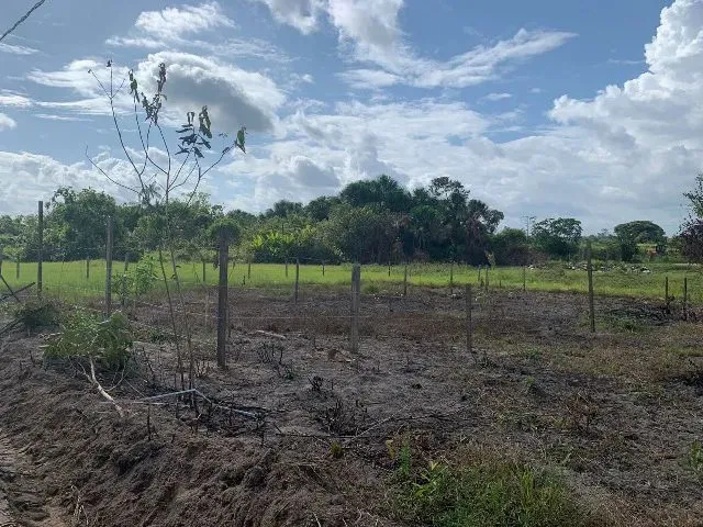 Imagem 4: Terrenos em Rorainópolis