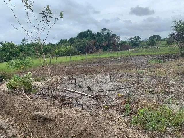 Imagem 3: Terrenos em Rorainópolis