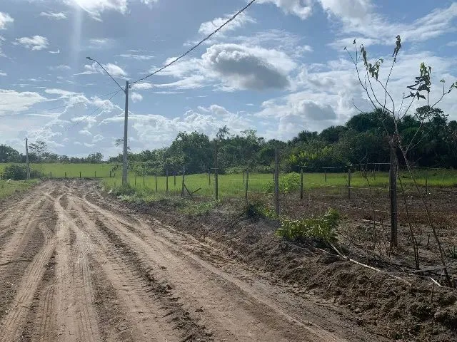 Imagem 2: Terrenos em Rorainópolis