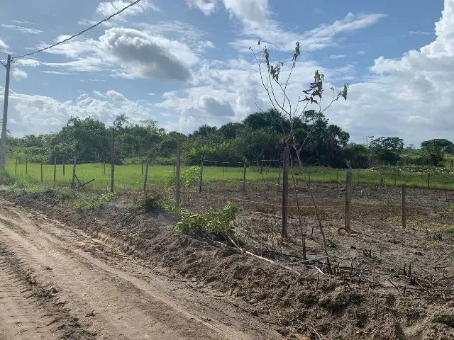 Imagem 6: Terrenos em Rorainópolis