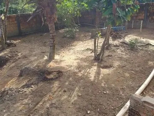 Imagem: Casa