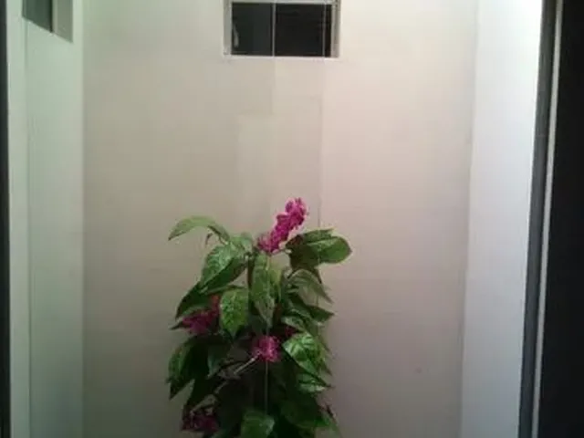 Imagem 7: Vendo Casa em Serra Talhada-Pe