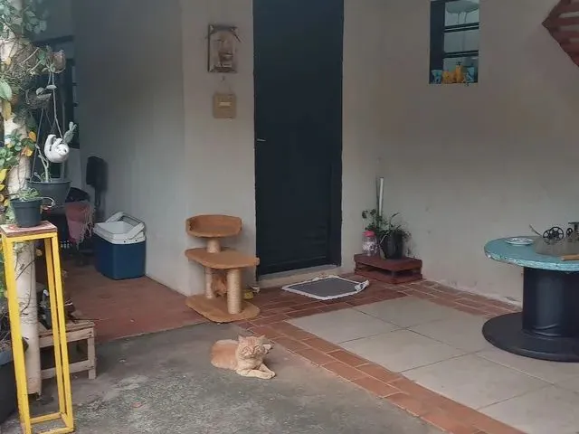 Imagem 1: Alugo Casa de Fundos