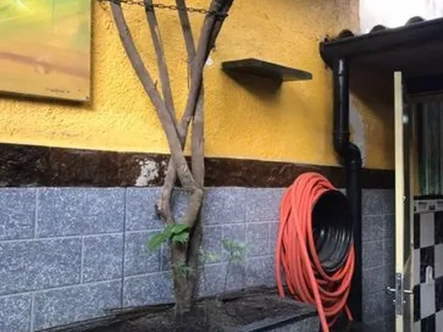 Imagem 9: Excelente Casa de 2Quartos com Churrasqueira no Coração de Bangú e Senador Camará