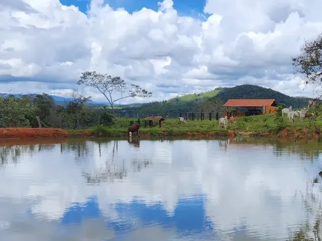 Imagem: Oportunidade Lançamento de Terrenos com
