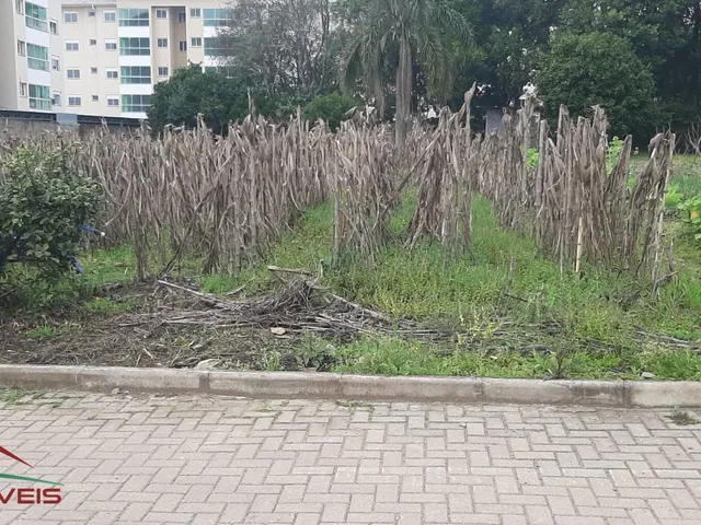 Imagem: TERRENO RESIDENCIAL em Nova Petrópolis