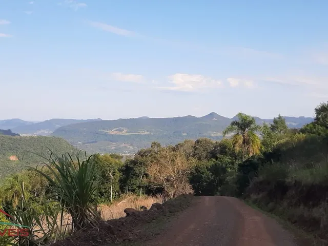 Imagem: AREA RURAL em Nova Petrópolis - RS, Fazenda