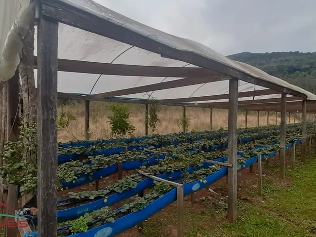 Imagem 9: AREA RURAL em Nova Petrópolis - RS, Arroio Paixão