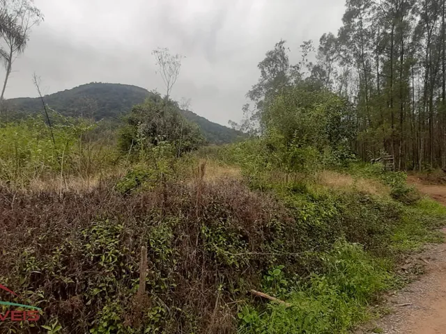 Imagem 4: AREA RURAL em Nova Petrópolis - RS, Arroio Paixão