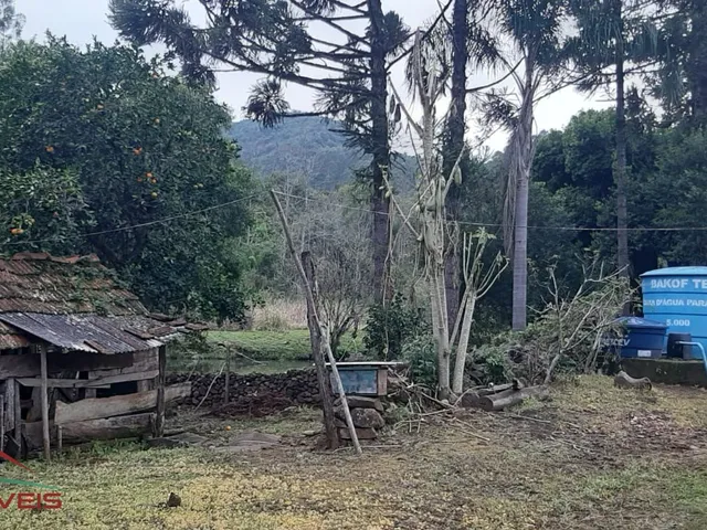 Imagem 10: AREA RURAL em Nova Petrópolis - RS, Arroio Paixão