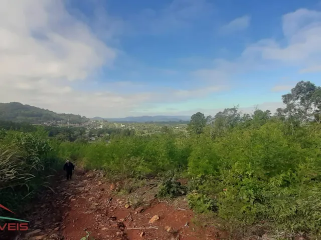Imagem 14: AREA RURAL em LINHA NOVA - RS, Morro Grande