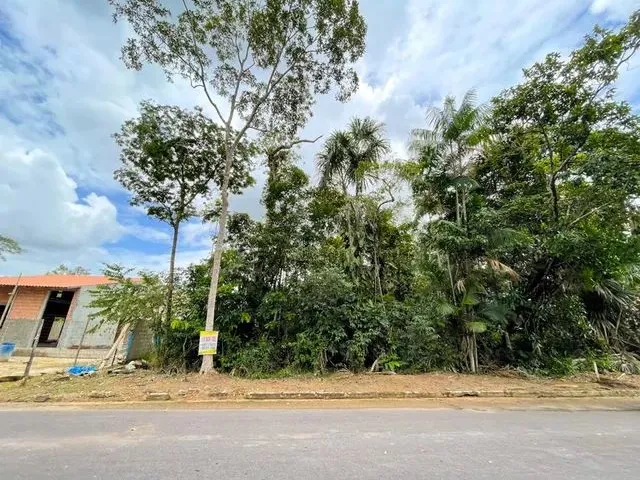Imagem: Porto Tarumã 1.295M² Ponta Negra - Lote