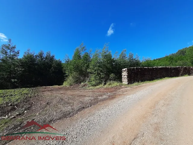 Imagem 13: AREA RURAL em Nova Petrópolis - RS, Linha Olinda