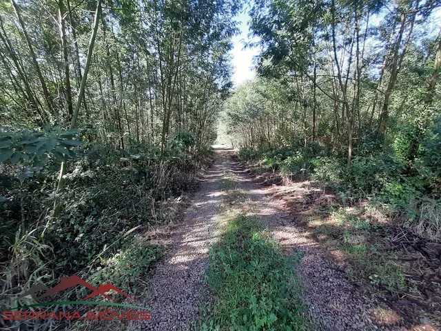 Imagem 8: AREA RURAL em Nova Petrópolis - RS, Linha Olinda