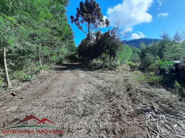 Imagem 4: AREA RURAL em Nova Petrópolis - RS, Linha Olinda