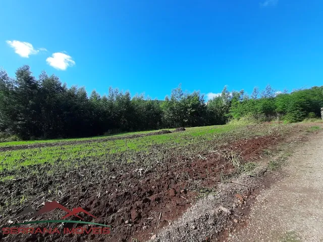 Imagem 6: AREA RURAL em Nova Petrópolis - RS, Linha Olinda