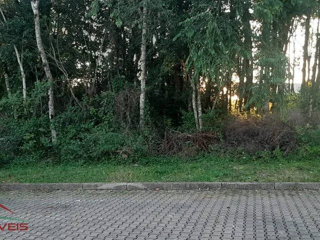 Imagem 4: TERRENO RESIDENCIAL em Nova Petrópolis - RS, Linha Imperial