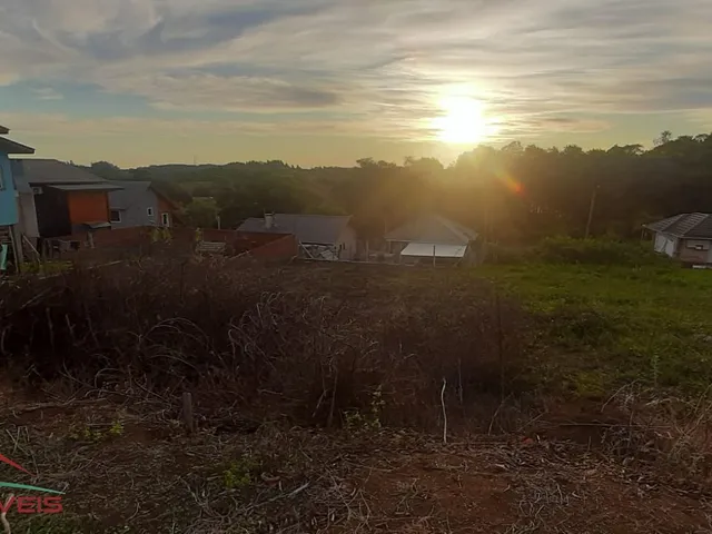 Imagem 15: TERRENO RESIDENCIAL em Nova Petrópolis - RS, Linha Imperial