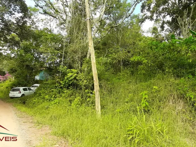 Imagem 2: AREA RURAL em Nova Petrópolis - RS, Linha Brasil