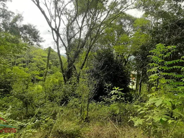 Imagem 3: AREA RURAL em Nova Petrópolis - RS, Linha Brasil