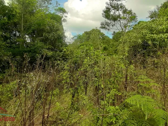 Imagem 7: AREA RURAL em Nova Petrópolis - RS, Linha Brasil