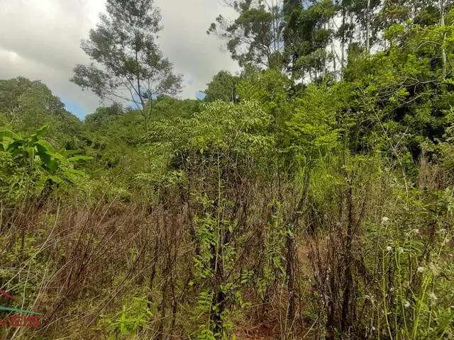 Imagem 4: AREA RURAL em Nova Petrópolis - RS, Linha Brasil
