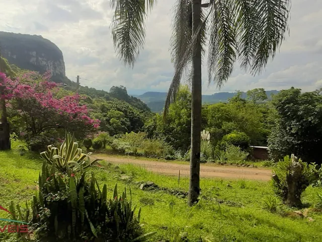 Imagem 16: AREA RURAL em Nova Petrópolis - RS, Linha Brasil