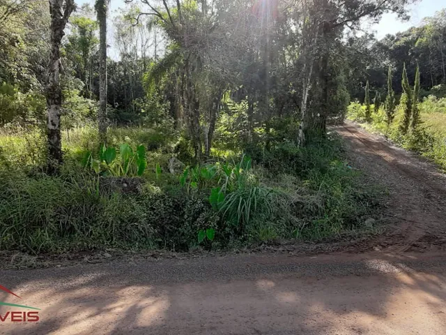 Imagem 5: TERRENO RESIDENCIAL em Nova Petrópolis - RS, Bairro Piá