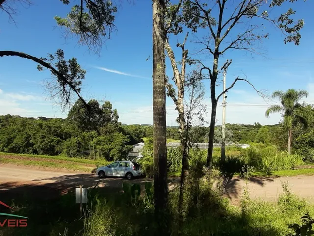 Imagem 16: TERRENO RESIDENCIAL em Nova Petrópolis - RS, Bairro Piá