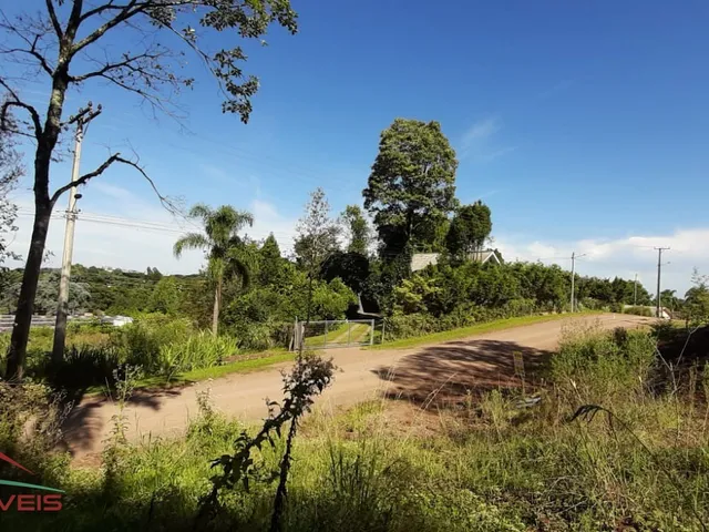 Imagem 12: TERRENO RESIDENCIAL em Nova Petrópolis - RS, Bairro Piá