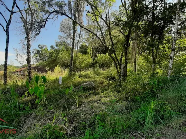 Imagem 2: TERRENO RESIDENCIAL em Nova Petrópolis - RS, Bairro Piá