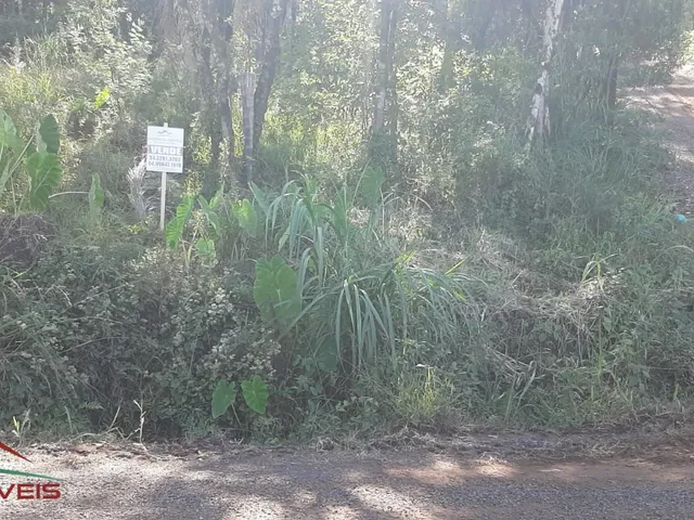 Imagem 6: TERRENO RESIDENCIAL em Nova Petrópolis - RS, Bairro Piá