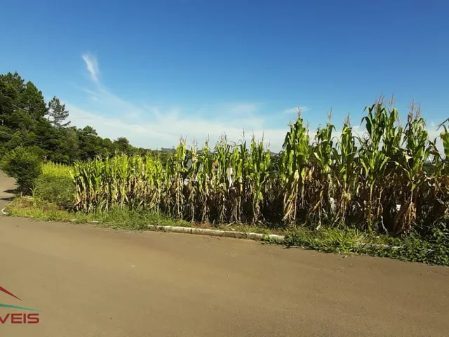 Imagem: TERRENO RESIDENCIAL em Nova Petrópolis